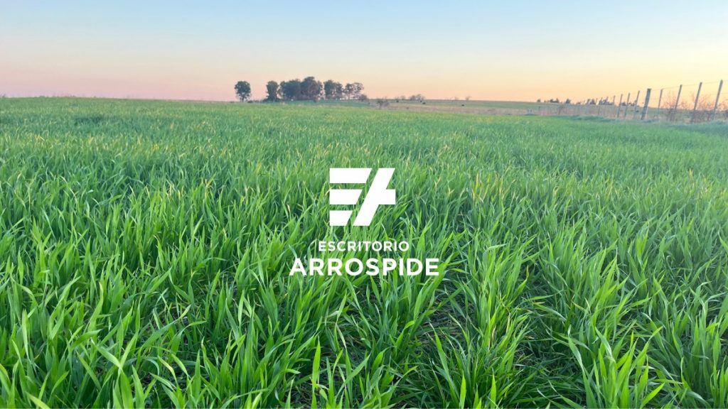 Productive farmland in Uruguay available for agricultural investment