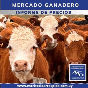 Consignatarios precios mercado ganadero en Uruguay