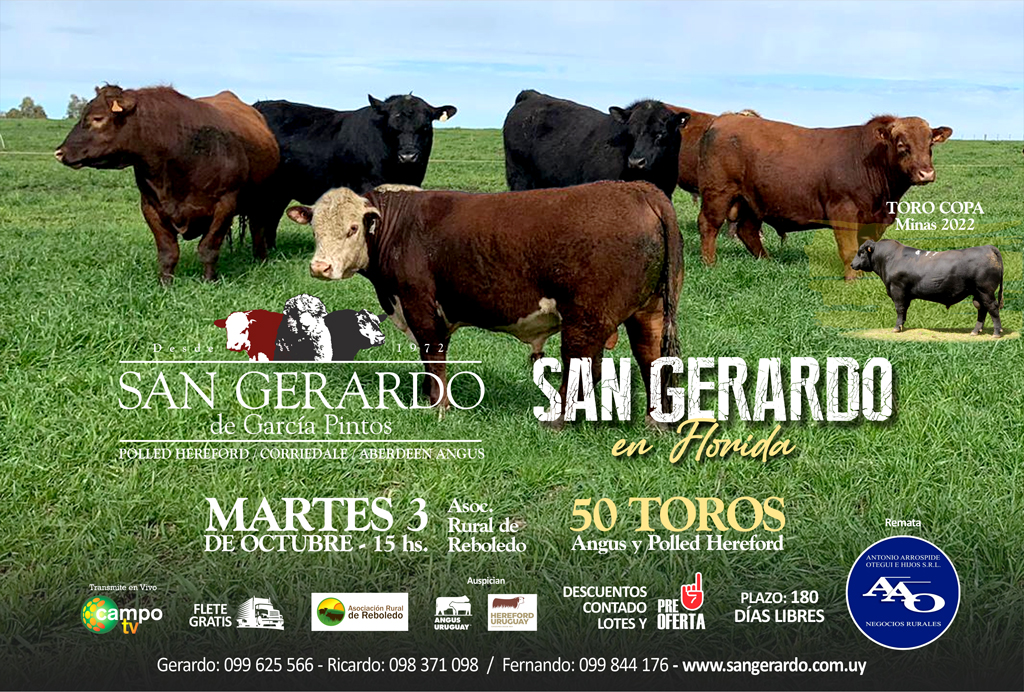 Remate de toros: Cabaña San Gerardo destaca en inicio de zafra.