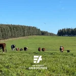Vista de Campo Ganadero Forestal en Venta en Florida Uruguay