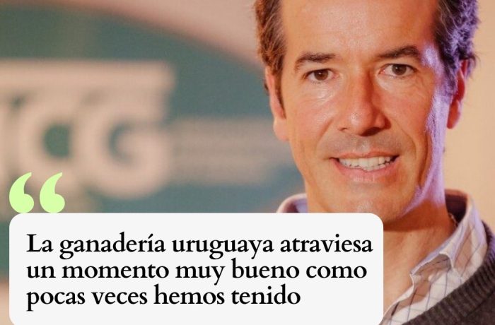 Ganadería en Uruguay con buenos precios y oportunidades en venta de campos – Escritorio Arrospide