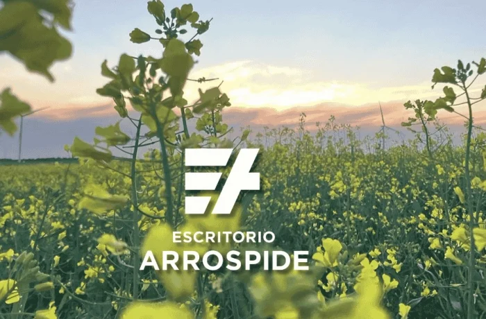 Inversión en campos agrícolas en Uruguay al atardecer – Escritorio Arrospide, confianza y experiencia en el mercado inmobiliario rural.