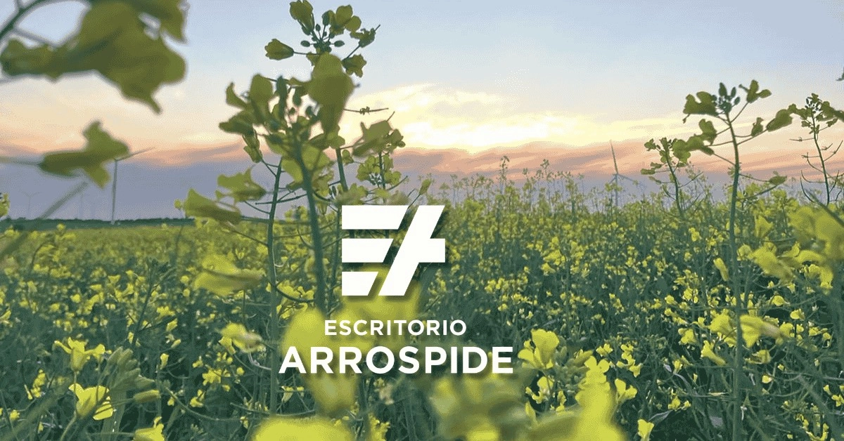 Inversión en campos agrícolas en Uruguay al atardecer – Escritorio Arrospide, confianza y experiencia en el mercado inmobiliario rural.
