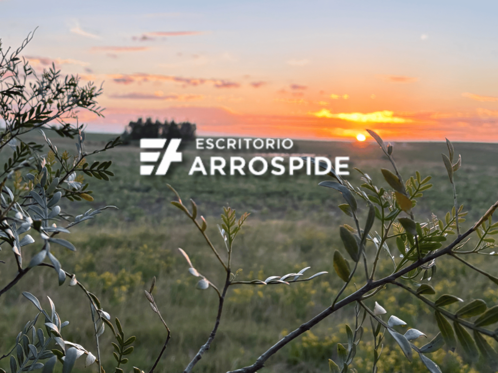 Campo agrícola ideal para cultivo de papa en San José Uruguay 