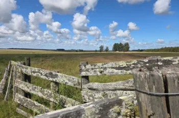 Vista de Campo mixto en venta en Florida ideal para ganadería y agricultura