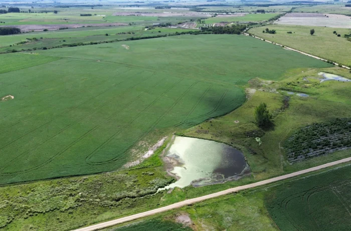 precio de los campos en Uruguay 2025 informe oficial diea.