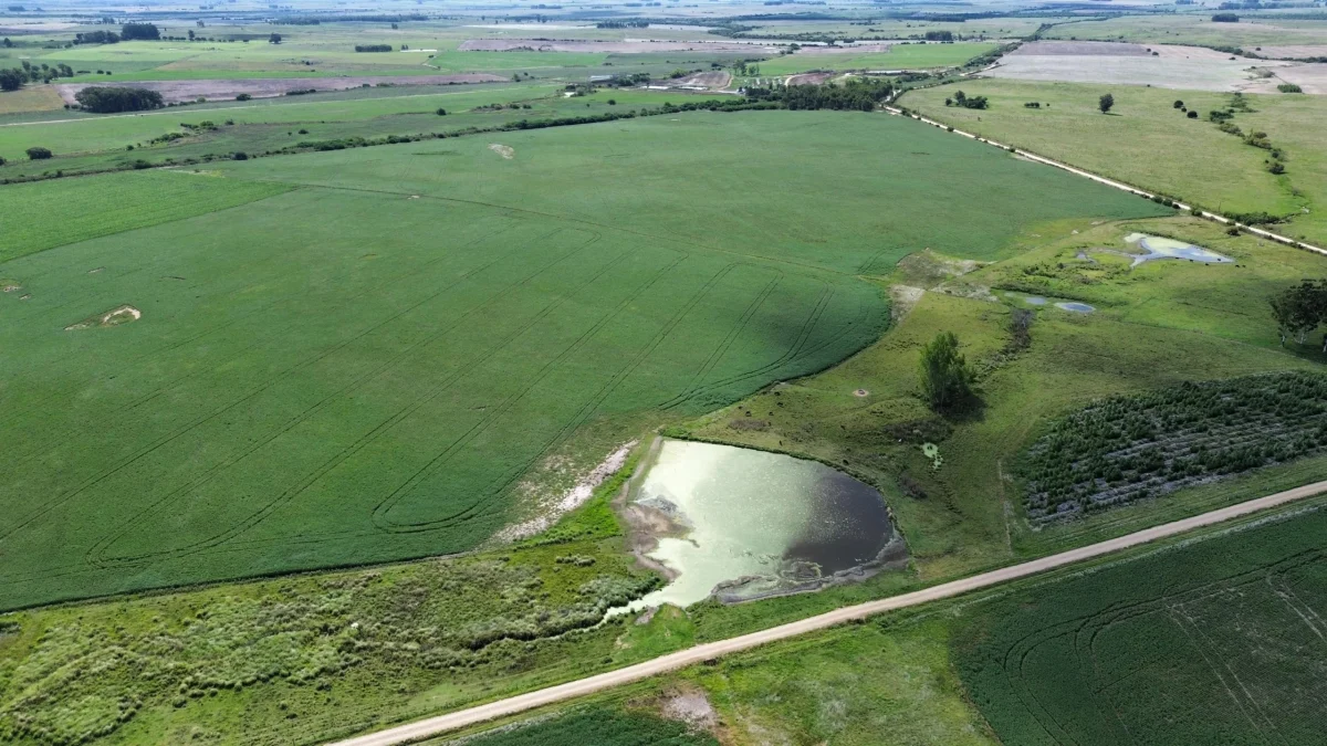 Mercado de campos: la tierra subió 5% alcanzando máximo histórico.