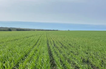 Campo en venta Florida 150 hectáreas con arroyo