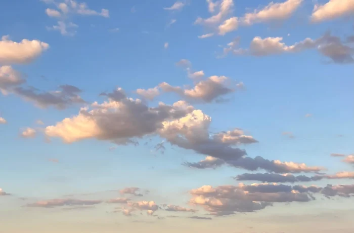 Vista de campo en venta en Uruguay con pasturas naturales y ganado bovino