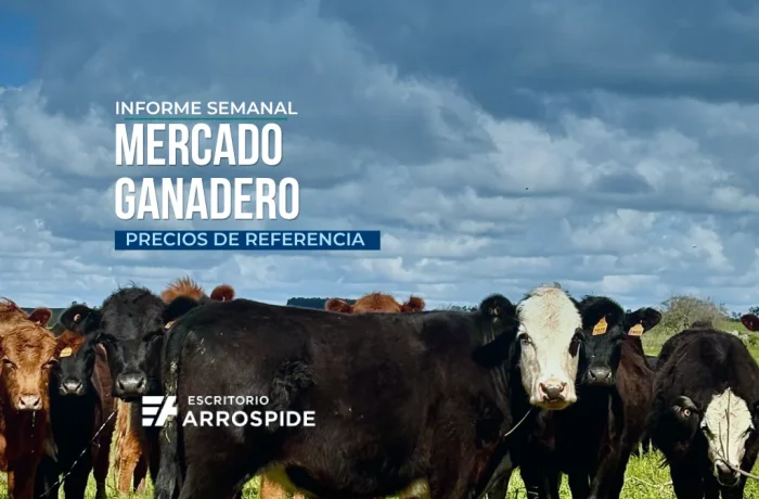 Tapa del informe de precios del mercado ganadero uruguayo semana 37
