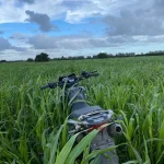 Cultivo en campo rural de Canelones, Uruguay