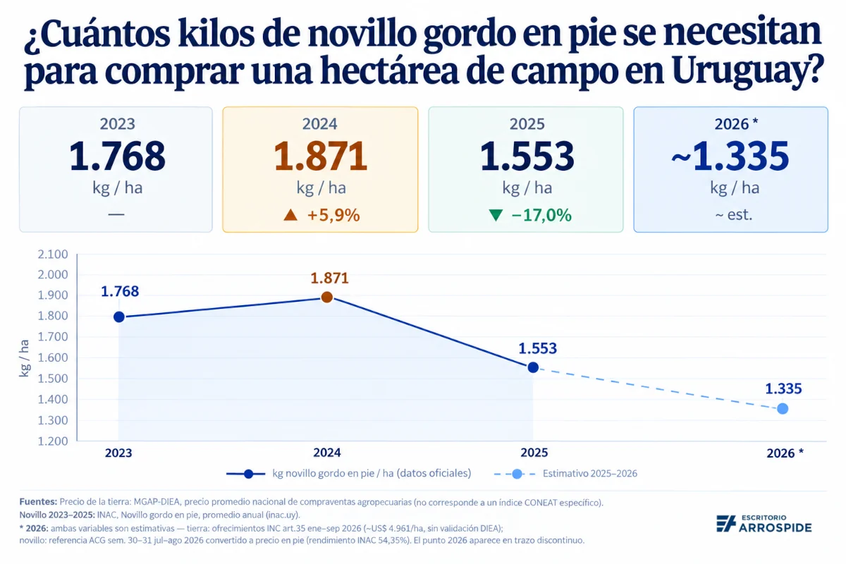 gráfica kg novillo para comprar campo en Uruguay